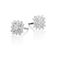 Blossom 0.35ct cluster diamond studs in 18K white gold