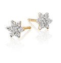 Buttercup 0.25ct cluster diamond studs in 9K yellow gold