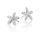 Buttercup 0.30ct cluster diamond studs in 9K white gold